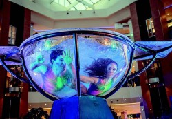 espectaculo-de-waterbowl-en-espana-acrobatas-contorsionistas-en-el-interior-de-una-copa-transparente-de-agua